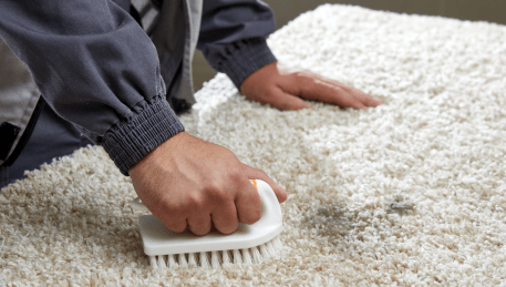 Professional Rug Cleaning Watsons Creek